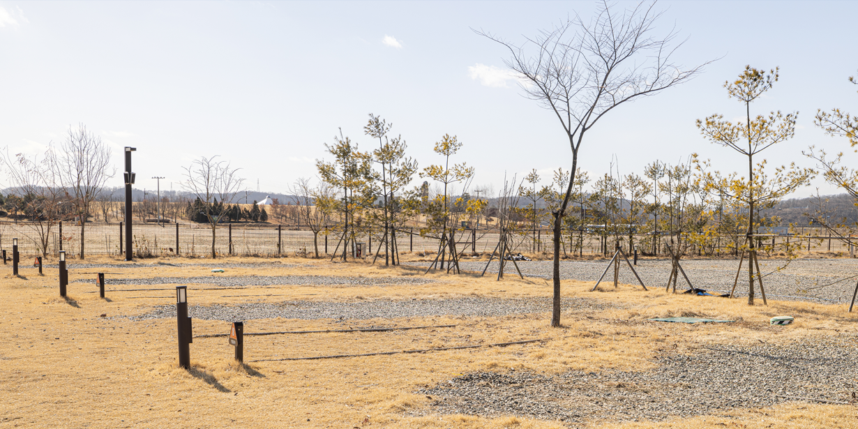 일반캠핑존B 전경