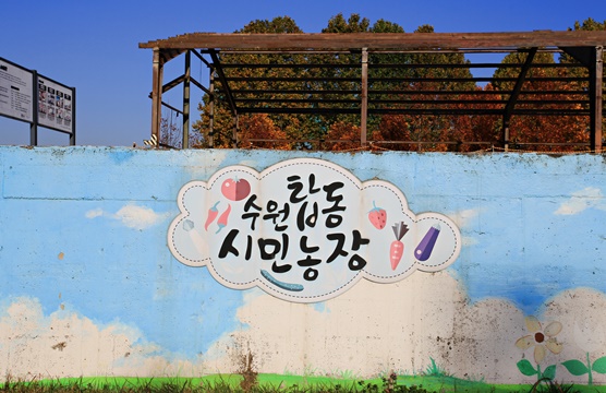 수원탑동시민농장