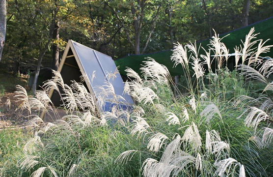 산골수목원