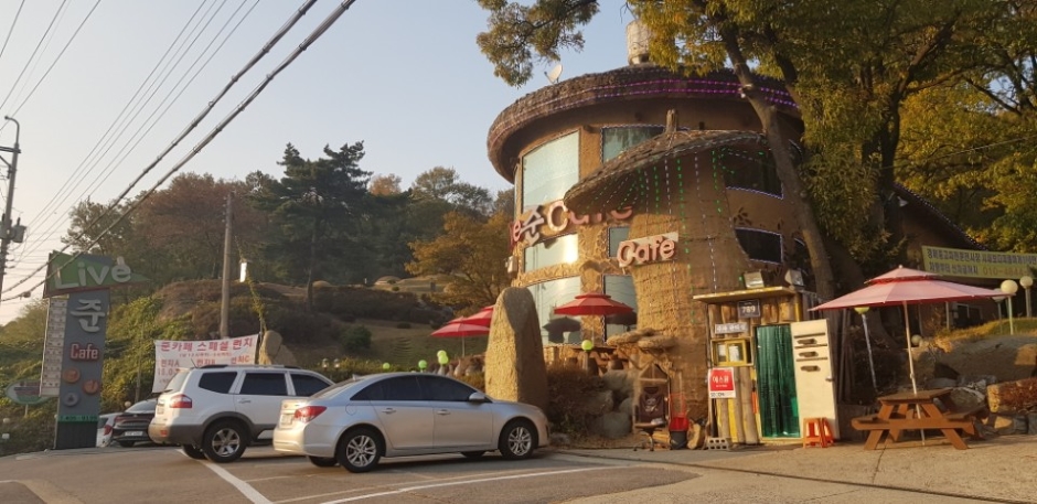 준라이브카페