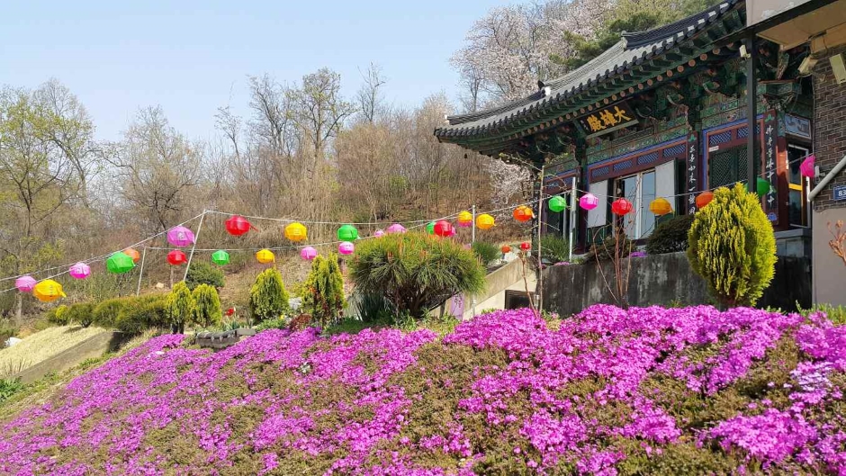 법련사
