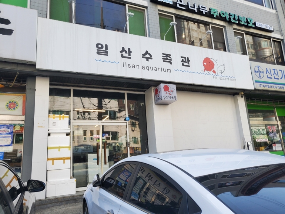 일산수족관