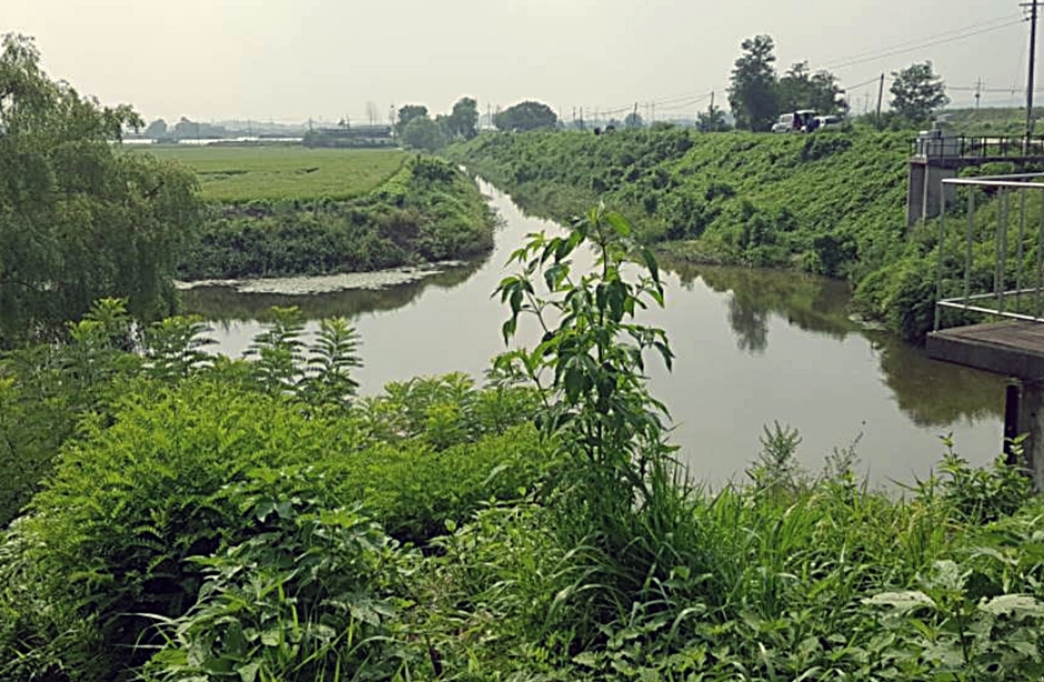 누산수로