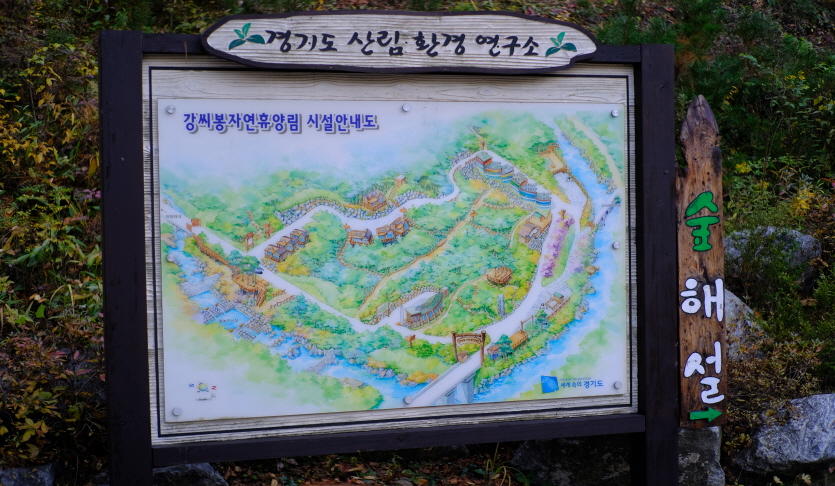 강씨봉자연휴양림