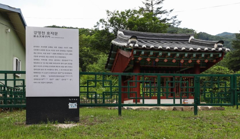 강영천효자문