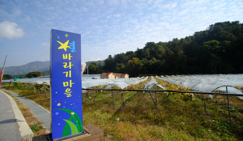 별바라기마을