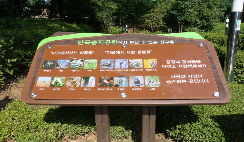 안곡습지공원 유아숲체험원