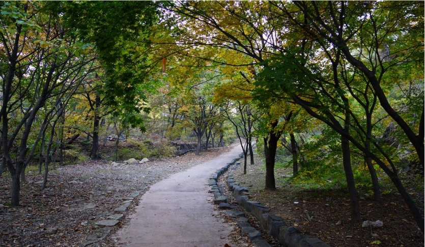 [경기옛길삼남길제1길]한양관문길