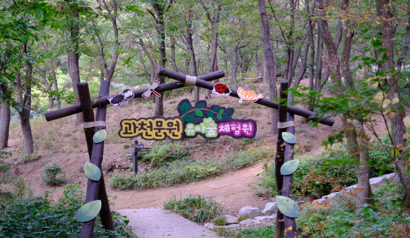과천문원유아숲체험원