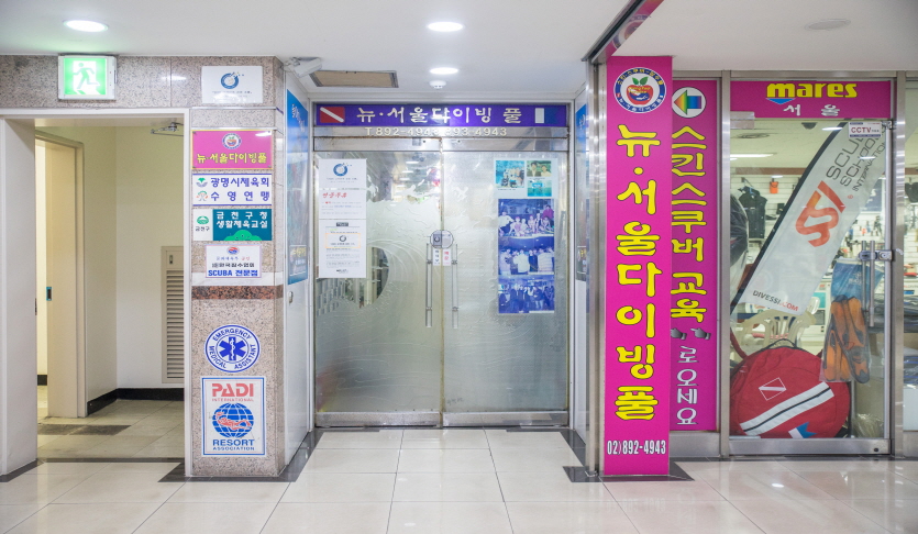 뉴서울 다이빙 풀