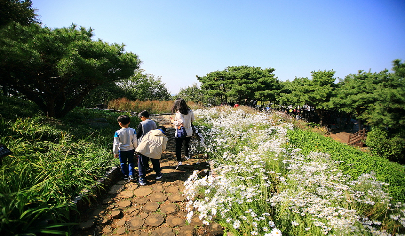 도덕산야생화단지