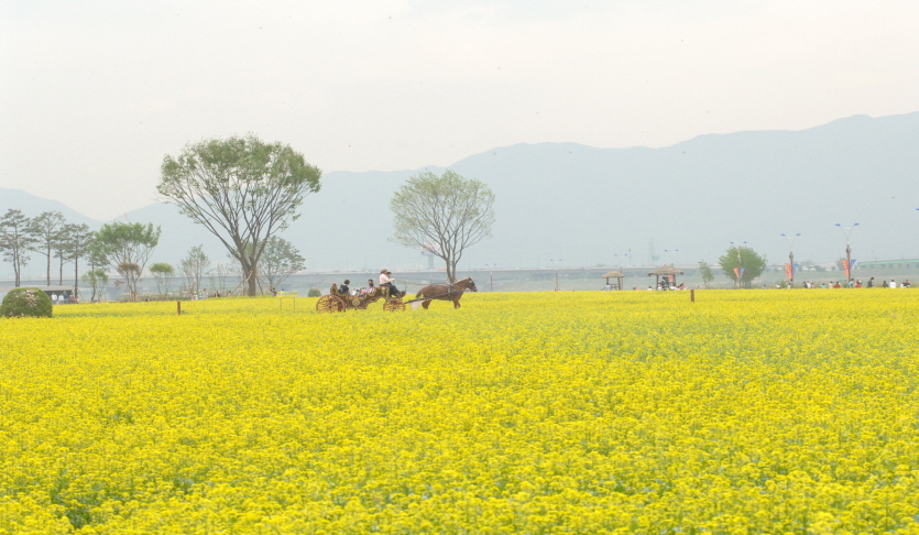 구리한강시민공원