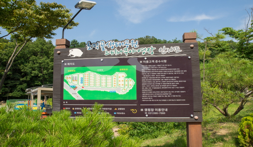 느티나무 야영장