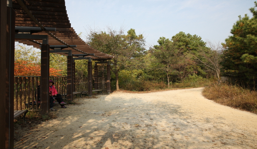 덕고개당숲