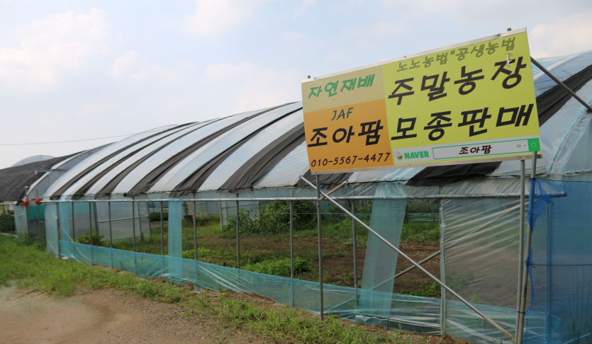 조아팜