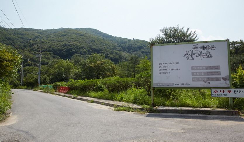 몸에좋은산양초농원