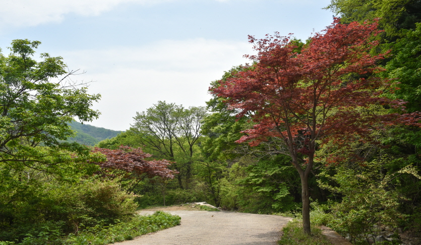 서리산