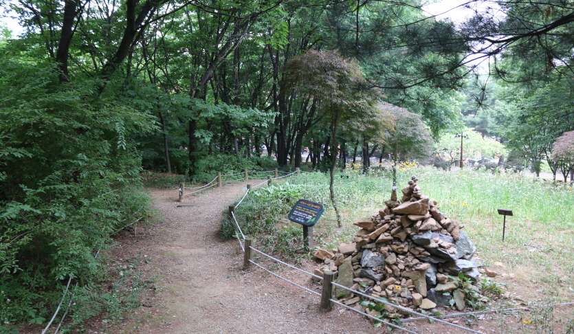 도당수목원