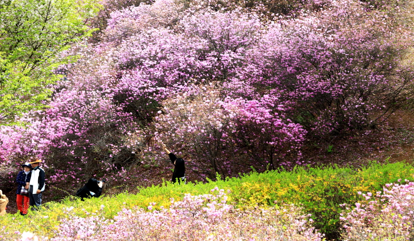 원미산