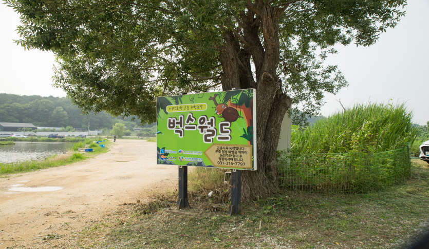 벅스월드곤충체험농장