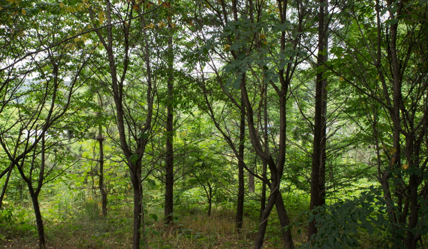 소래산