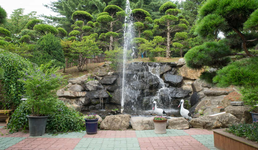 용도수목원