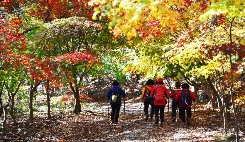 서운산
