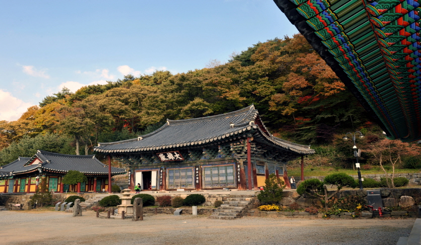 청룡사