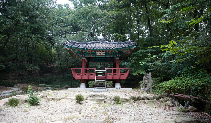 금화정