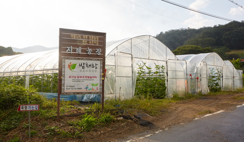 밭채랑