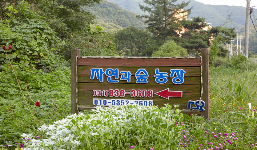 자연과숲