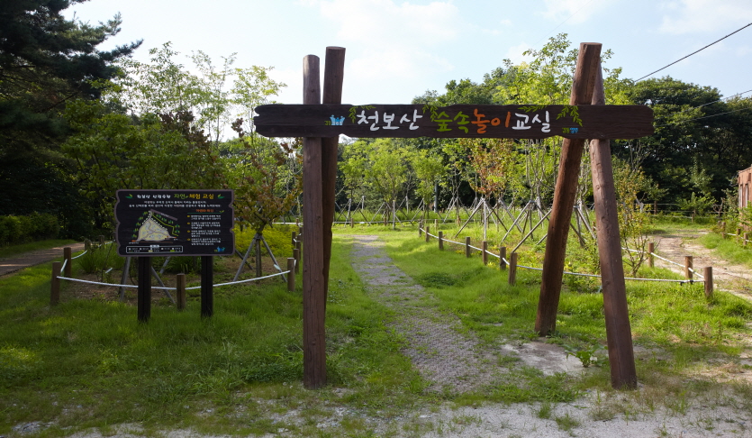 천보 산림욕장