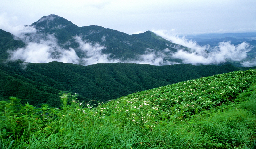대부산