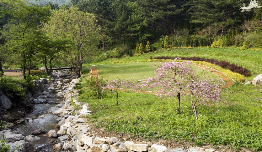 서후리숲