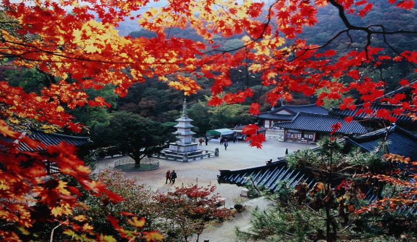 용문사