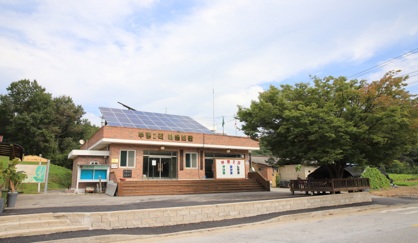 여주해바라기체험마을