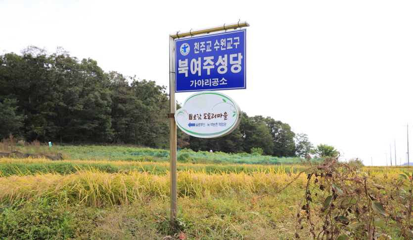 오감도토리마을