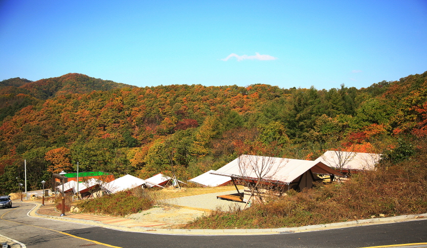 고대산캠핑리조트