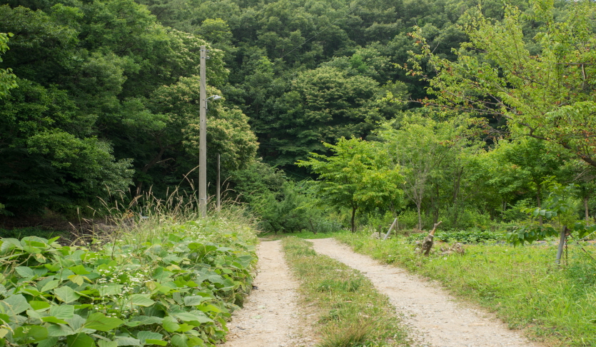 [경기옛길 삼남길 제3길] 모락산길