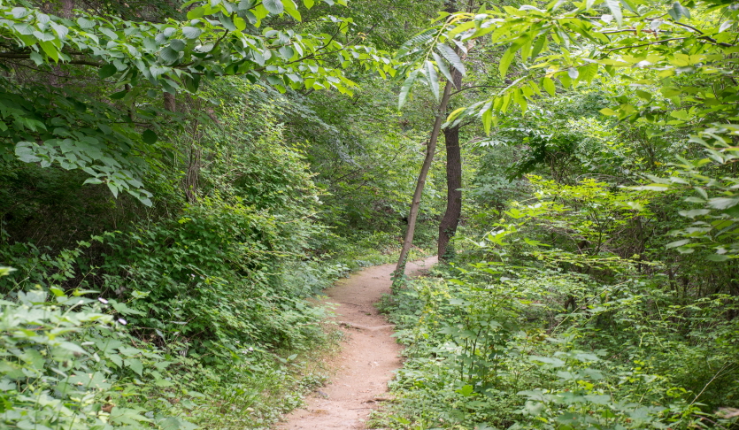모락산