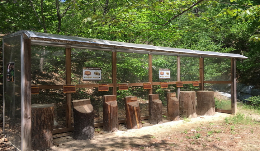 천보산유아숲체험원