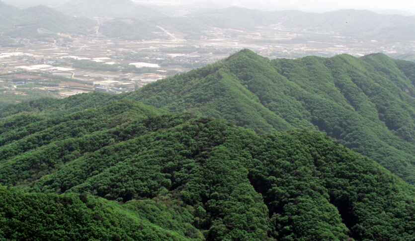 노성산