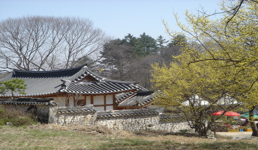 육괴정