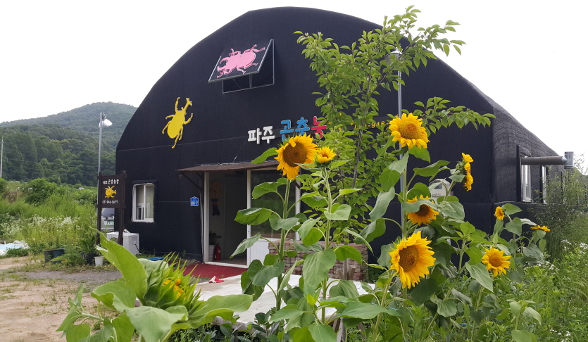 곤충농장숲속친구들