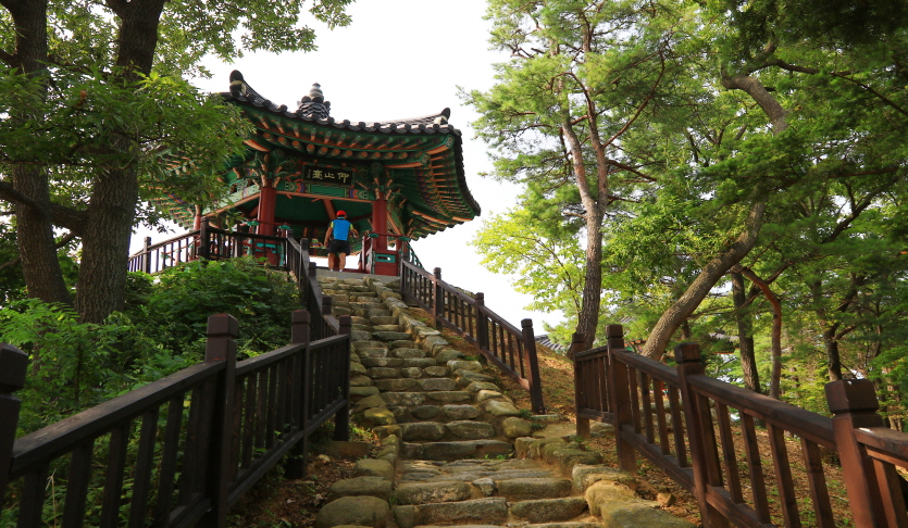 반구정