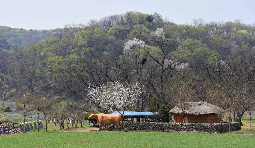 파주 율곡습지공원