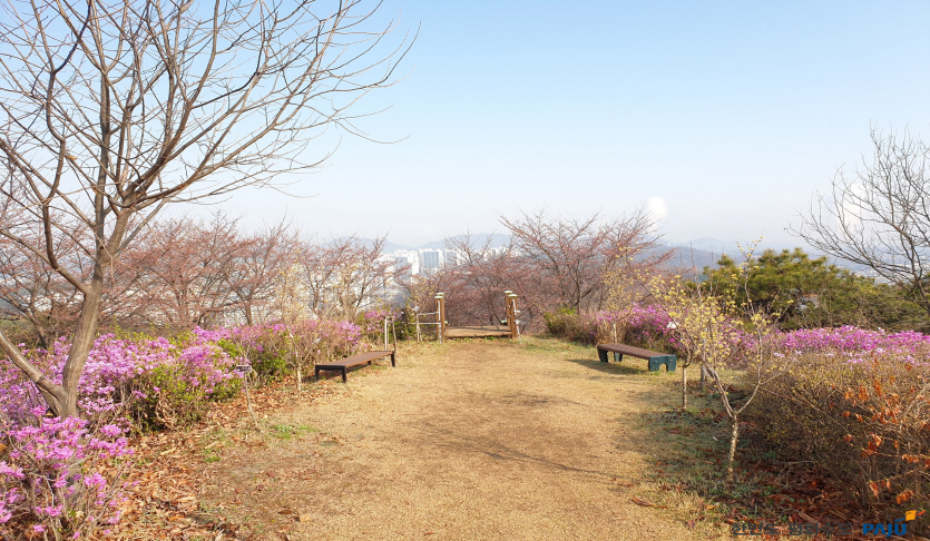 학령산