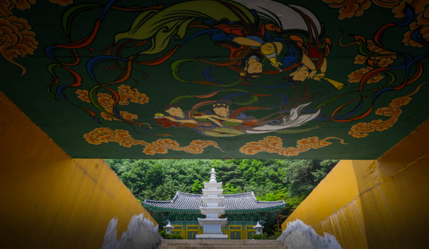만기사