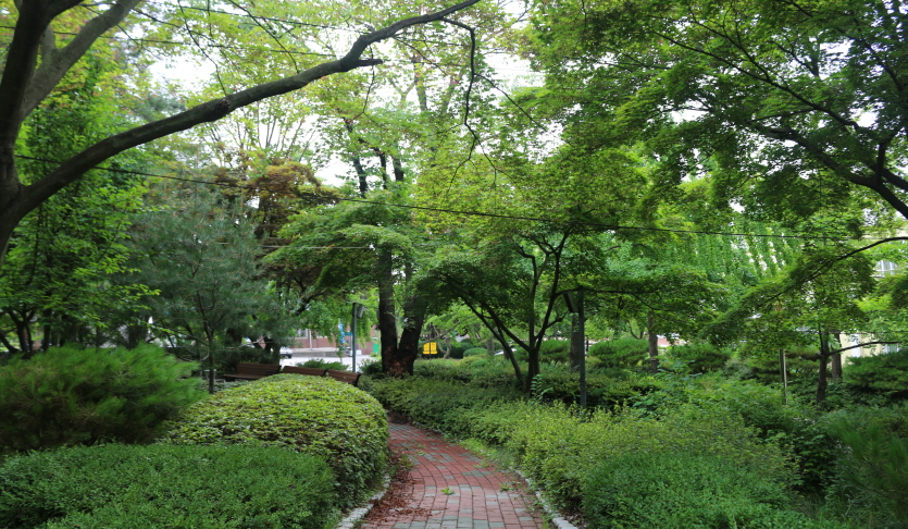 효명 중/고등학교