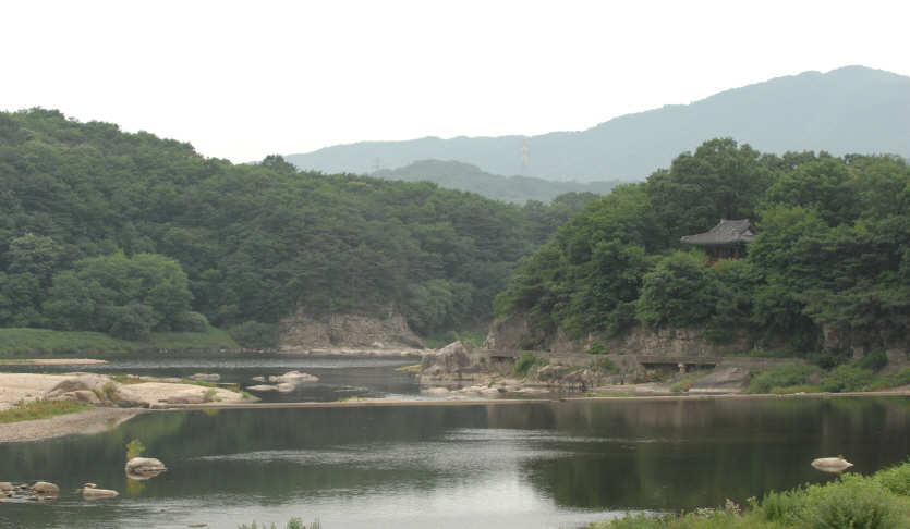 금수정
